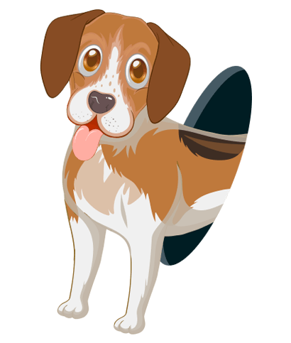 Emerging Pet Care
